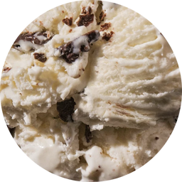 Mint Chocolate Chip